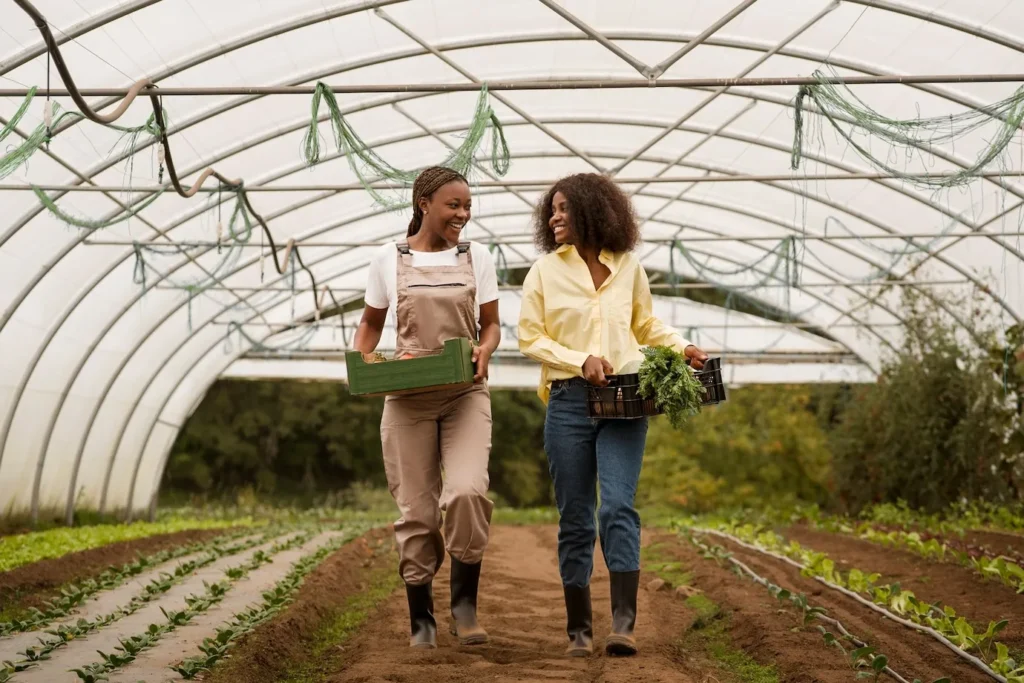 Agricultura Sustentável, mulheres no campo.