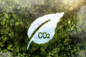 Pegada de Carbono