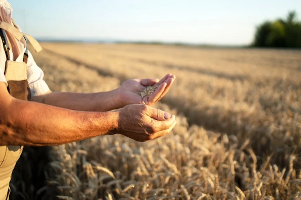 Agricultura